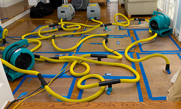 Professional Burst Pipe Water Damage technician working in Jonesville, LA